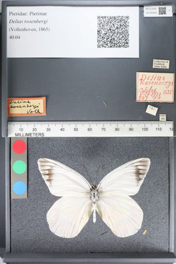 Media type: image;   Entomology 130405